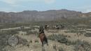 Red Dead Redemption (RDR): Schätze, Cheats, Tipps & Tricks, RDR-Komplettlösung, Fremde Personen, Herausforderungen, Achievement- und Trophy-Guide