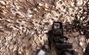 Call of Duty: Black Ops im Grafikvergleich mit dem Vorgänger Modern Warfare 2