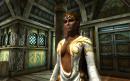 The Elder Scrolls 5: Skyrim - Schnee-Elfen und Vampire? Patchdateien liefern Hinweise auf ersten Download-Content