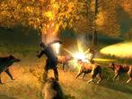 Test: Drakensang