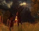 Test: Drakensang