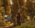 Test: Drakensang