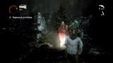Screenshot zu Alan Wake - alle Screenshots - 2010/07/Alan_Wake_15.jpg