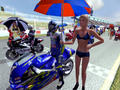 Bild 2 zu Moto GP Ultimate Racing Technology
