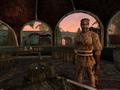 Bild 3 zu The Elder Scrolls 3: Tribunal
