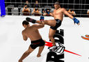 Bild 4 zu Pride FC