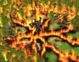 Bild 2 zu Age of Mythology: The Titans