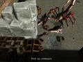 Bild 2 zu Fallout: Brotherhood of Steel