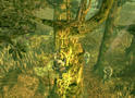 Bild 4 zu Metal Gear Solid 3: Snake Eater
