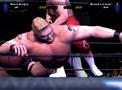 Bild 2 zu WWE SmackDown! Here Comes the Pain