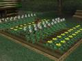 Bild 4 zu Harvest Moon: A wonderful Life