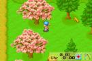 Bild 3 zu Harvest Moon: Friends of the Mineral Town