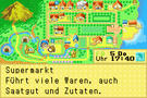 Bild 4 zu Harvest Moon: Friends of the Mineral Town