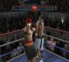 Bild 2 zu Fight Night 2004