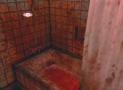 Bild 4 zu Silent Hill 4: The Room