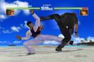 Bild 2 zu Dead or Alive Ultimate