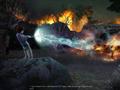Bild 4 zu Harry Potter und der Feuerkelch