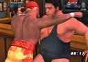 Bild 4 zu WWE Smackdown! Vs. Raw 2006
