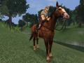 Bild 4 zu Dark Age of Camelot: Darkness Rising