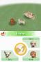 Bild 3 zu Nintendogs - Labrador & Friends