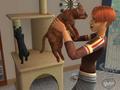 Bild 4 zu Die Sims 2: Haustiere