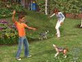 Bild 2 zu Die Sims 2: Haustiere