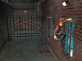 Bild 2 zu Tomb Raider: Legend