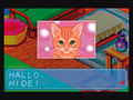 Bild 4 zu CATZ
