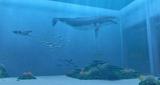 Bild 4 zu Endless Ocean