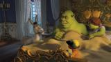 Bild 2 zu Shrek der Dritte (Single-DVD)