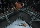 Bild 2 zu WWE SmackDown vs. Raw 2009