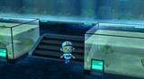Bild 3 zu Animal Crossing: Let's go to the City
