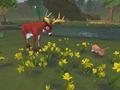 Bild 2 zu SimAnimals
