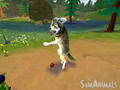 Bild 4 zu SimAnimals