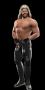Bild 3 zu WWE Legends of WrestleMania
