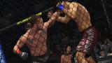 Bild 2 zu UFC Undisputed 2010