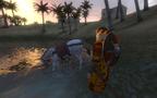 Bild 4 zu Mount & Blade: Warband