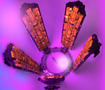Bild 2 zu Mass Effect