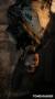 Bild 2 zu Tomb Raider