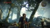 Bild 2 zu The Witcher 2: Assassins of Kings