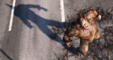 Bild 3 zu The Amazing Spider-Man