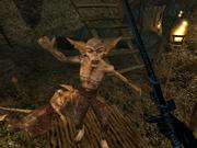 The Elderscrolls 3: Morrowind - Allgemeine Tipps