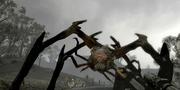 US-Verkaufsstart: Gamestop nennt Wii- und PS3-Top-Hits