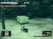 Ein Karton steht im Wald: Auch online dienen die berühmten Boxen als portables Versteck. 