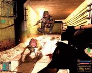 Stalker: Patch 1.003
