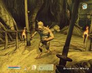 The Elder Scrolls IV: Oblivion