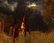 Test: Drakensang