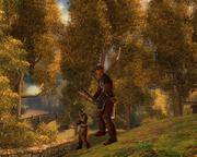 Test: Drakensang