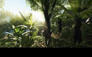 Edel-Tuning: Crysis schöner als je zuvor