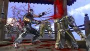Ninja Gaiden 2